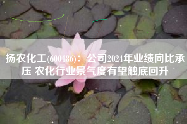扬农化工(600486)：公司2024年业绩同比承压 农化行业景气度有望触底回升