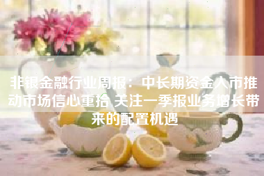 非银金融行业周报：中长期资金入市推动市场信心重拾 关注一季报业务增长带来的配置机遇