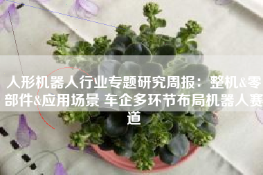 人形机器人行业专题研究周报：整机&零部件&应用场景 车企多环节布局机器人赛道
