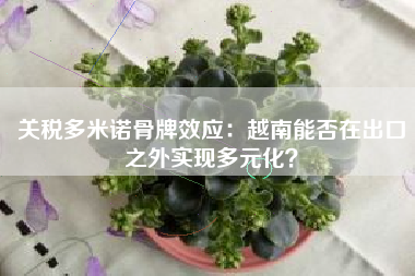 关税多米诺骨牌效应：越南能否在出口之外实现多元化？