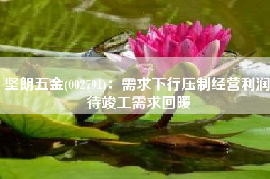 坚朗五金(002791)：需求下行压制经营利润 待竣工需求回暖