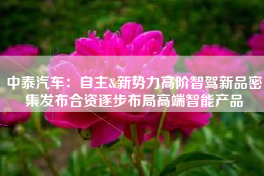 中泰汽车：自主&新势力高阶智驾新品密集发布合资逐步布局高端智能产品