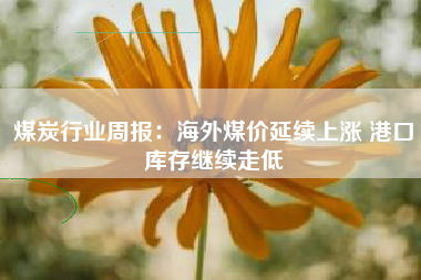 煤炭行业周报：海外煤价延续上涨 港口库存继续走低