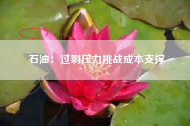 石油：过剩压力挑战成本支撑