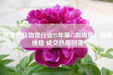 房地产及物管行业25年第15周周报：政策维稳 成交热度回落