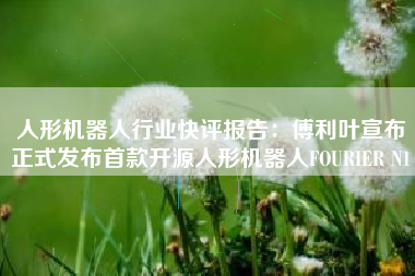 人形机器人行业快评报告：傅利叶宣布正式发布首款开源人形机器人FOURIER N1
