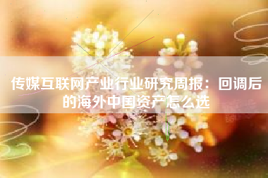 传媒互联网产业行业研究周报：回调后的海外中国资产怎么选