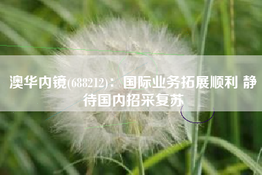 澳华内镜(688212)：国际业务拓展顺利 静待国内招采复苏