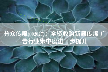 分众传媒(002027)：全资收购新潮传媒 广告行业集中度进一步提升