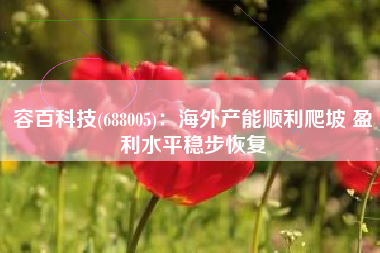 容百科技(688005)：海外产能顺利爬坡 盈利水平稳步恢复