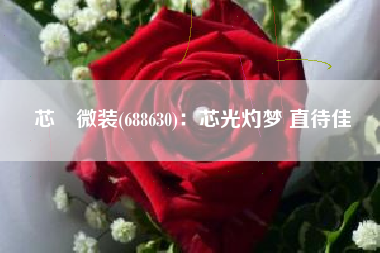 芯碁微装(688630)：芯光灼梦 直待佳碁