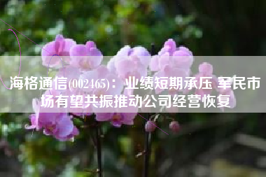 海格通信(002465)：业绩短期承压 军民市场有望共振推动公司经营恢复