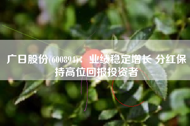 广日股份(600894)：业绩稳定增长 分红保持高位回报投资者