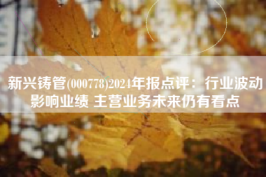 新兴铸管(000778)2024年报点评：行业波动影响业绩 主营业务未来仍有看点