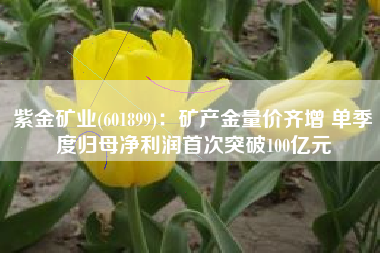 紫金矿业(601899)：矿产金量价齐增 单季度归母净利润首次突破100亿元