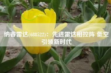 纳睿雷达(688522)：先进雷达相控阵 低空引领新时代