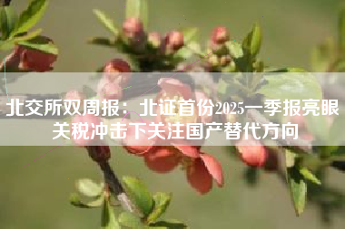 北交所双周报：北证首份2025一季报亮眼 关税冲击下关注国产替代方向