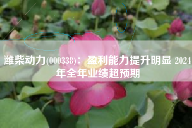 潍柴动力(000338)：盈利能力提升明显 2024年全年业绩超预期
