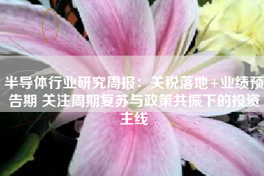 半导体行业研究周报：关税落地+业绩预告期 关注周期复苏与政策共振下的投资主线