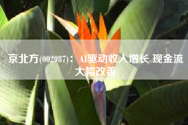 京北方(002987)：AI驱动收入增长 现金流大幅改善