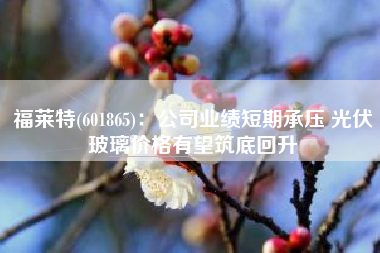 福莱特(601865)：公司业绩短期承压 光伏玻璃价格有望筑底回升