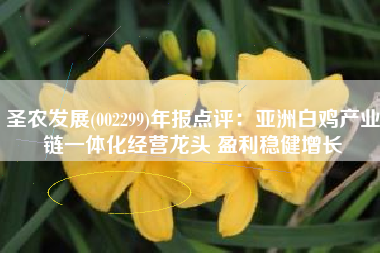 圣农发展(002299)年报点评：亚洲白鸡产业链一体化经营龙头 盈利稳健增长