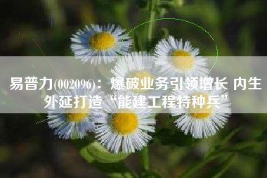 易普力(002096)：爆破业务引领增长 内生外延打造“能建工程特种兵”