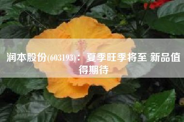 润本股份(603193)：夏季旺季将至 新品值得期待