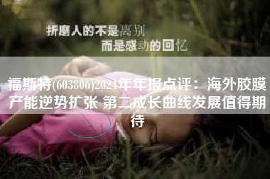 福斯特(603806)2024年年报点评：海外胶膜产能逆势扩张 第二成长曲线发展值得期待