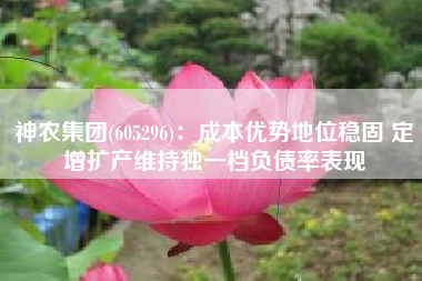 神农集团(605296)：成本优势地位稳固 定增扩产维持独一档负债率表现