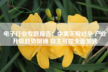 电子行业专题报告：中美关税对垒 产业升级趋势明确 自主可控全面加速