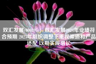 双汇发展(000895)：双汇发展2024年业绩符合预期 2025年组织调整下重视渠道和产品适配 以期实现增长