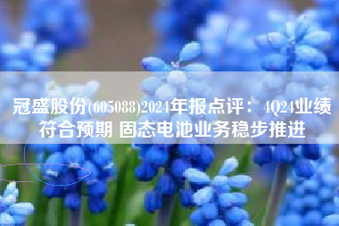 冠盛股份(605088)2024年报点评：4Q24业绩符合预期 固态电池业务稳步推进