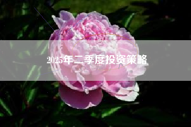 2025年二季度投资策略