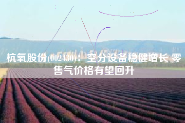 杭氧股份(002430)：空分设备稳健增长 零售气价格有望回升