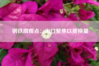钢铁周观点：出口聚焦以质换量