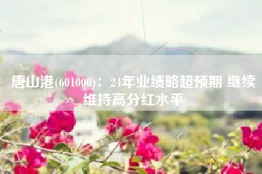 唐山港(601000)：24年业绩略超预期 继续维持高分红水平