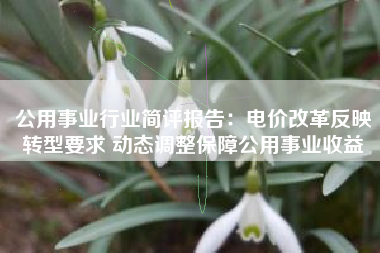 公用事业行业简评报告：电价改革反映转型要求 动态调整保障公用事业收益