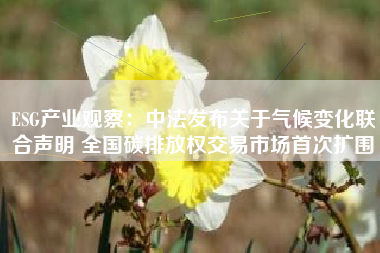 ESG产业观察：中法发布关于气候变化联合声明 全国碳排放权交易市场首次扩围