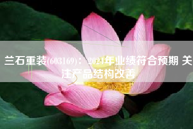 兰石重装(603169)：2024年业绩符合预期 关注产品结构改善