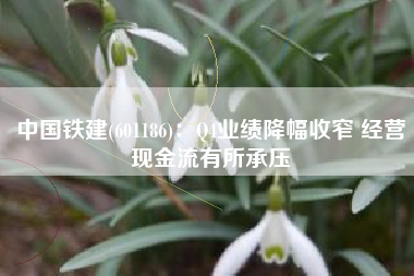 中国铁建(601186)：Q4业绩降幅收窄 经营现金流有所承压