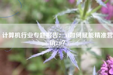 计算机行业专题报告：AI如何赋能精准营销2.0？
