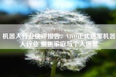 机器人行业快评报告：VIVO正式进军机器人行业 聚焦家庭与个人场景