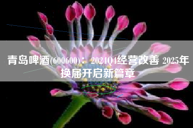青岛啤酒(600600)：2024Q4经营改善 2025年换届开启新篇章