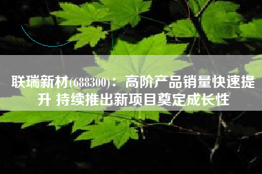 联瑞新材(688300)：高阶产品销量快速提升 持续推出新项目奠定成长性