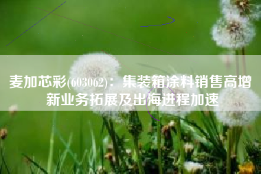 麦加芯彩(603062)：集装箱涂料销售高增 新业务拓展及出海进程加速