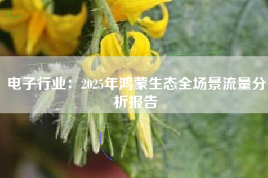 电子行业：2025年鸿蒙生态全场景流量分析报告