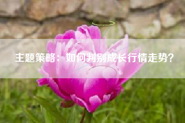 主题策略：如何判别成长行情走势？