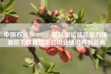 中国石油(601857)：抵抗油价波动能力强 油价下跌背景下公司业绩仍再创新高
