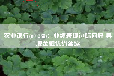 农业银行(601288)：业绩表现边际向好 县域金融优势延续